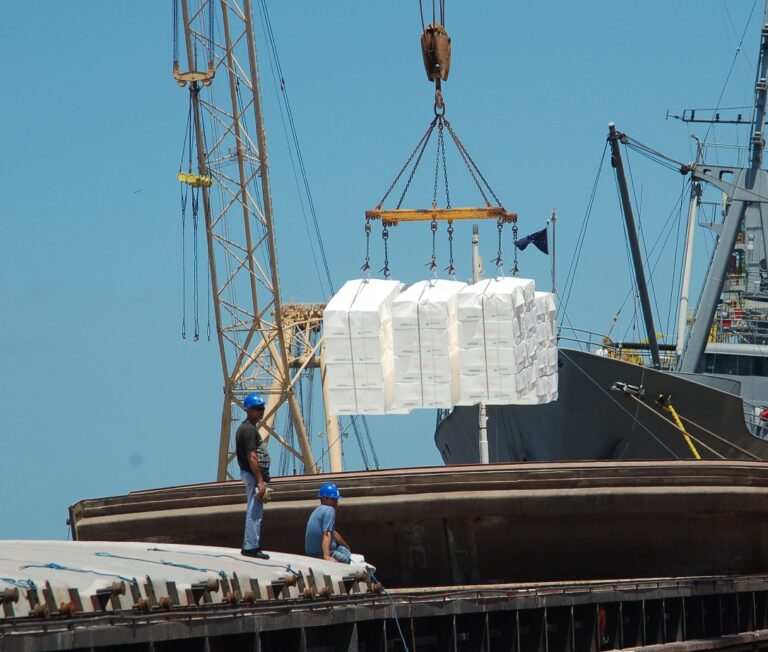 Brasil deve se manter como maior exportador de celulose do mundo em 2023